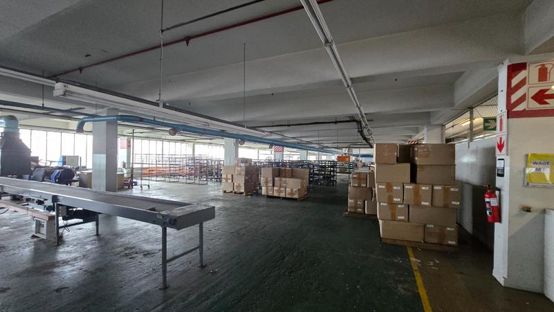 To Let commercial Property for Rent in Elsies River Industrial Western Cape